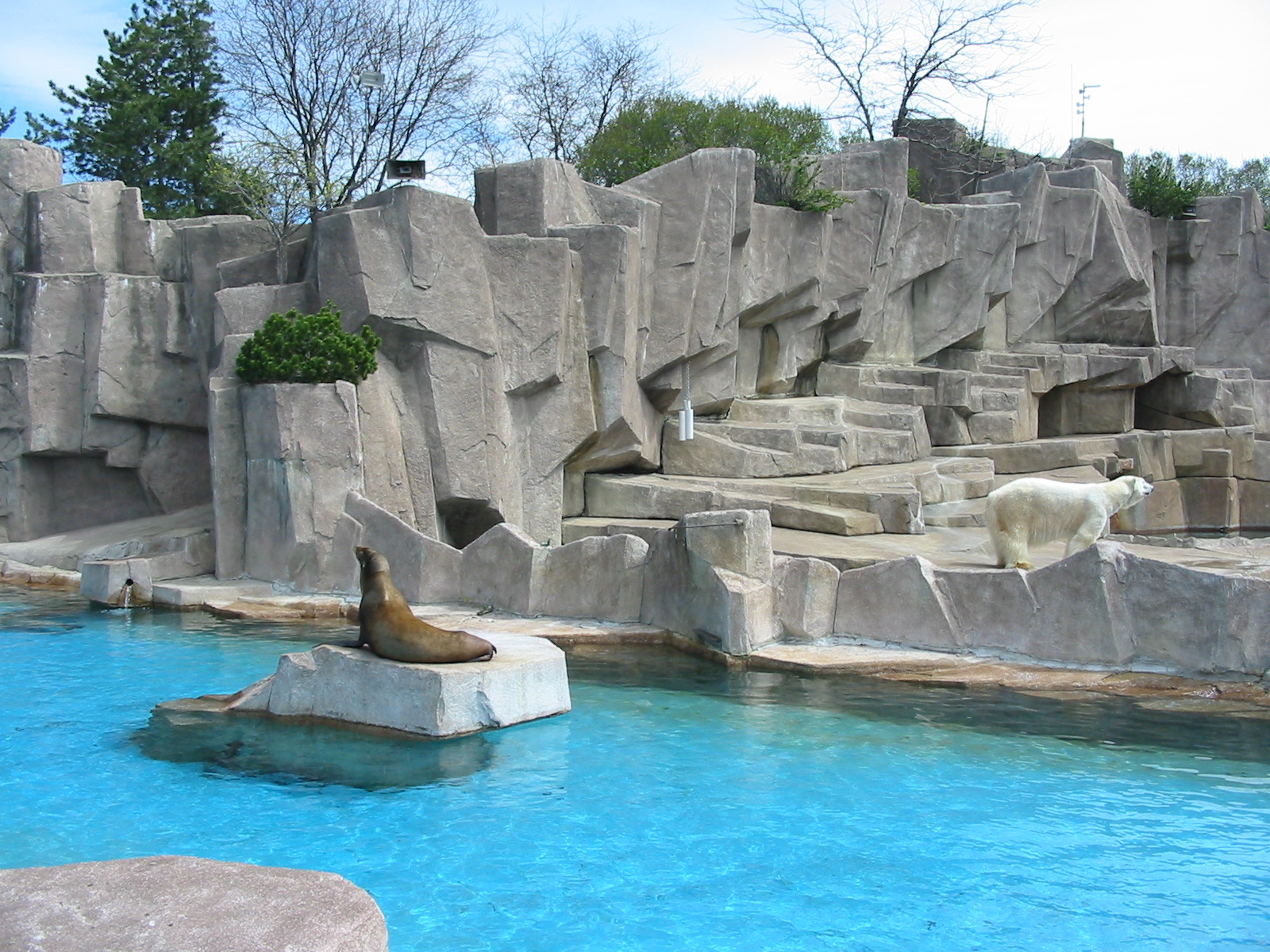 Milwaukee County Zoo 2003 - Hagenbeck-style immersion