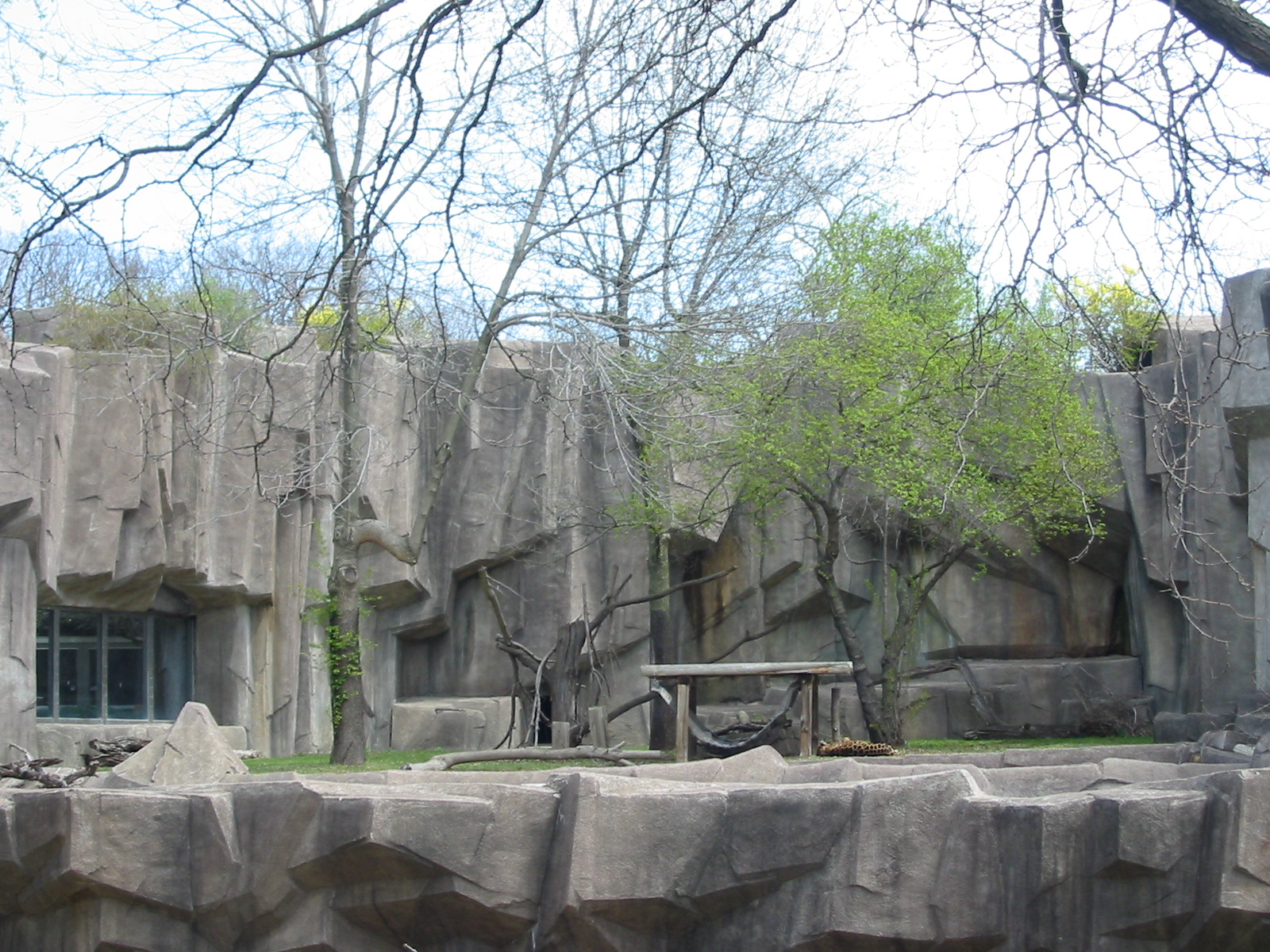 Milwaukee County Zoo 2003 - Jaguar exhibit
