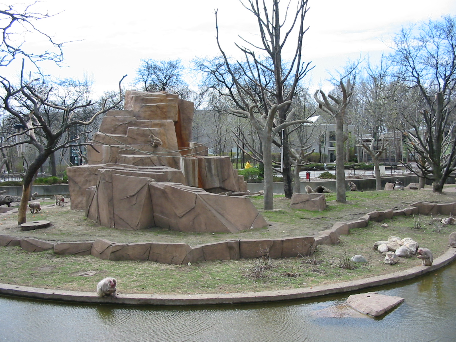 Milwaukee County Zoo 2003 - Japanese Macaque exhibit