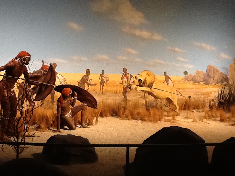 Milwaukee Public Museum - Africa - Masai Lion Hunt Diorama