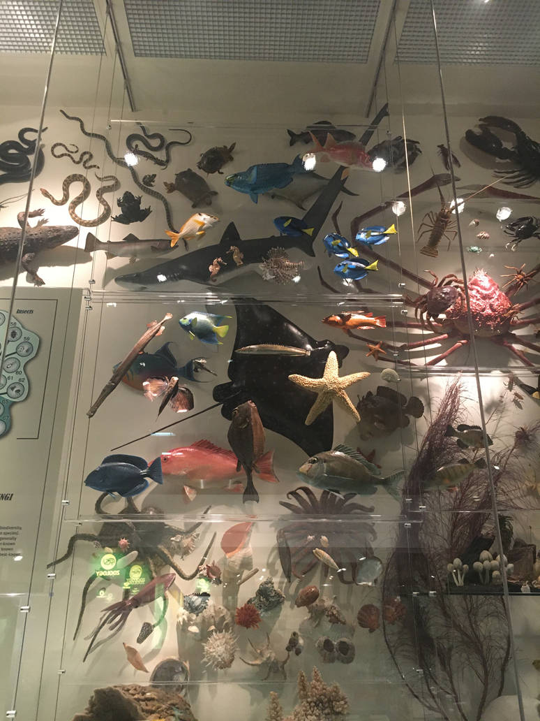 Milwaukee Public Museum - Exploring Life on Earth - Tree of Life