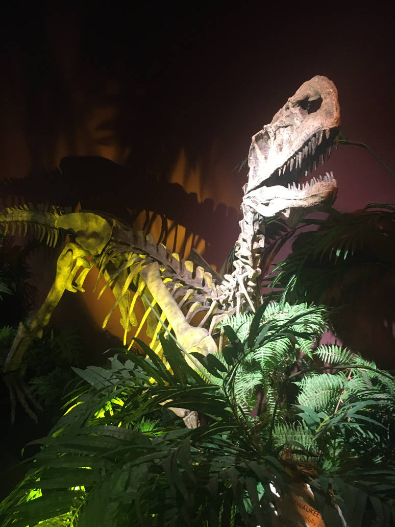 Milwaukee Public Museum - Monolophosaurus Fossil