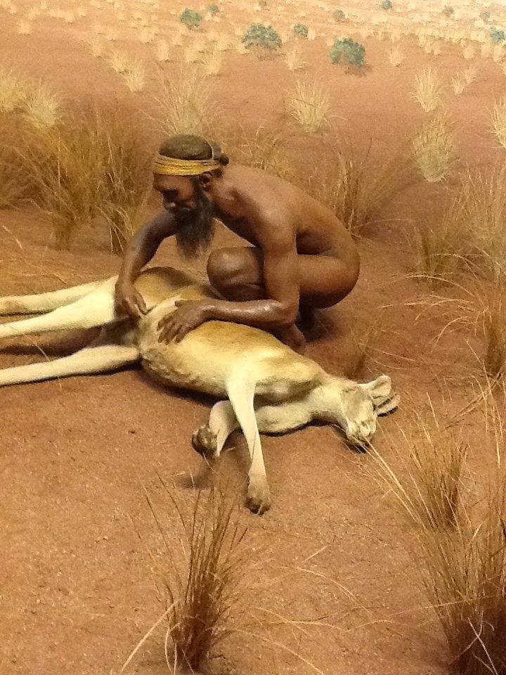 Milwaukee Public Museum - Oceania - Australia Diorama