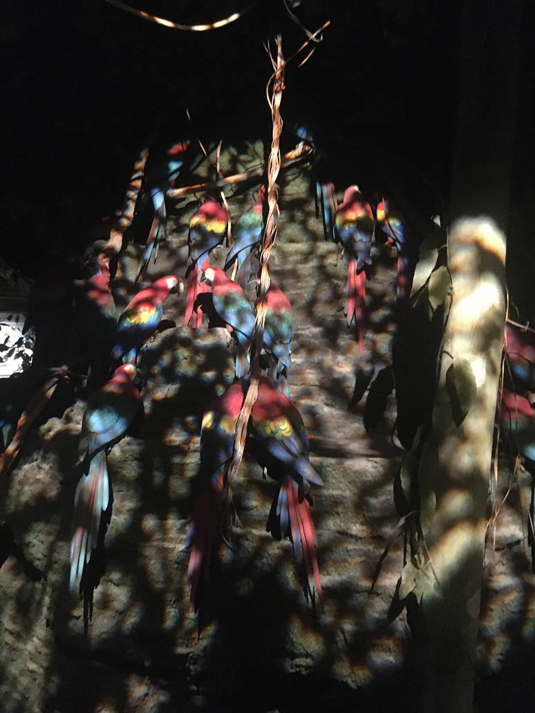 Milwaukee Public Museum - Rainforest - Scarlet Macaws