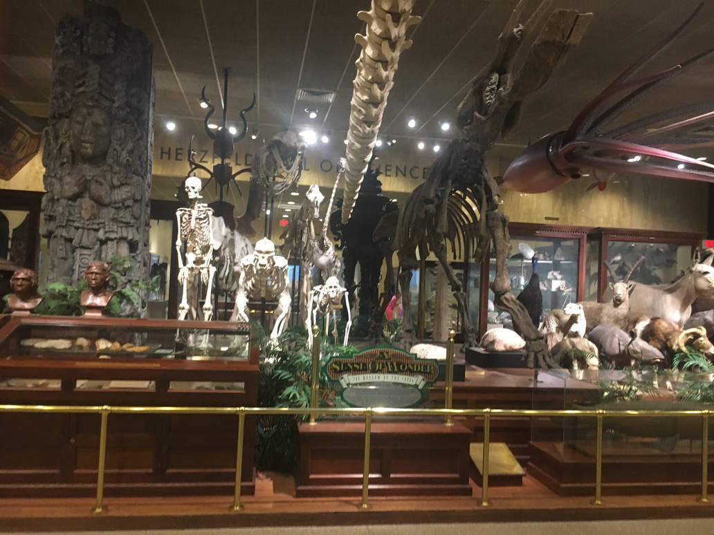 Milwaukee Public Museum - Sense of Wonder