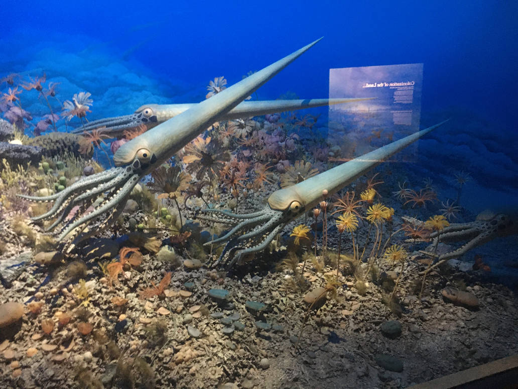 Milwaukee Public Museum - Third Planet - Orthocerida Diorama