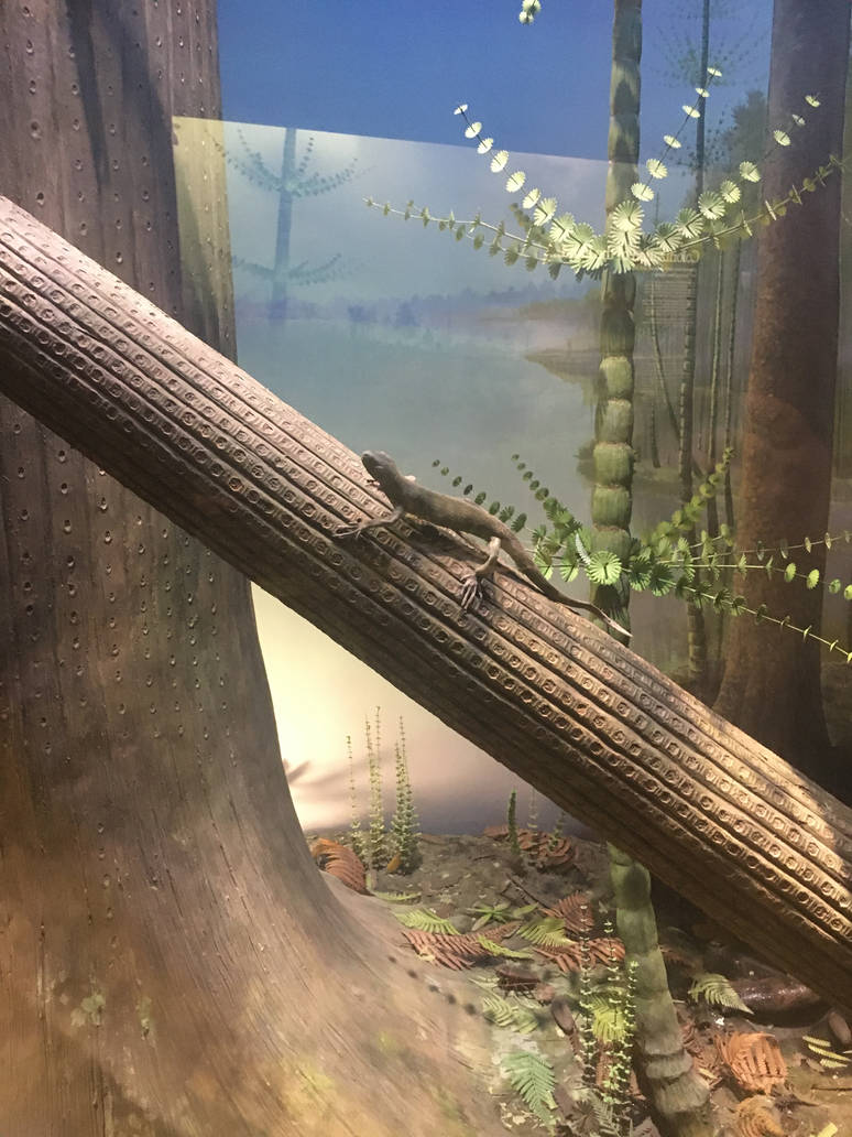 Milwaukee Public Museum - Third Planet - Primitive Lizard