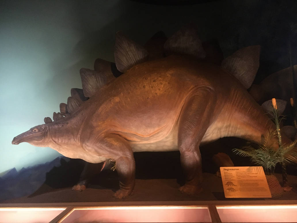 Milwaukee Public Museum - Third Planet - Stegosaurus