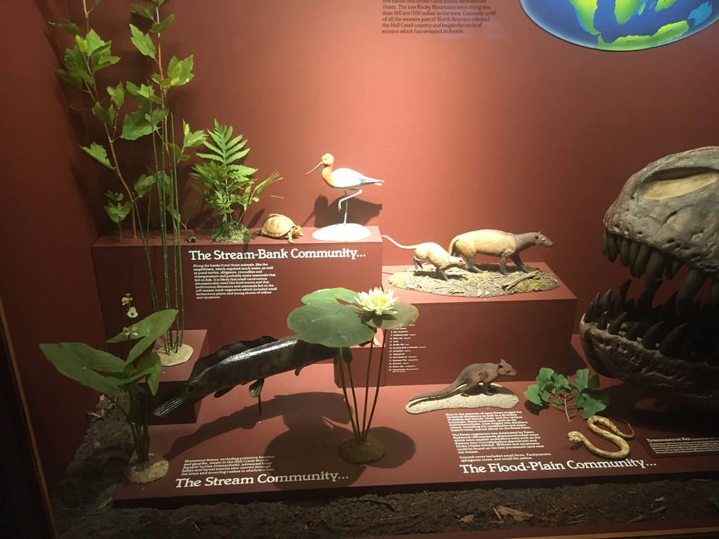 Milwaukee Public Museum - Third Planet - Stream Bank Community