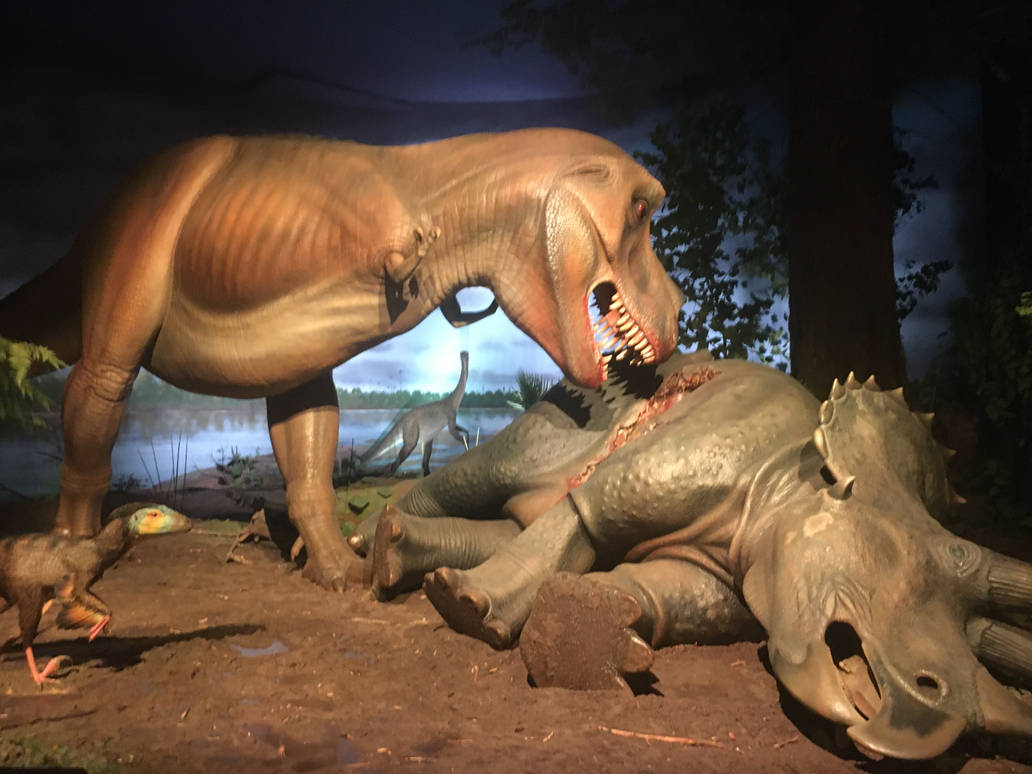 Milwaukee Public Museum - Third Planet - Tyrannosaurus Rex eating Triceratops Diorama