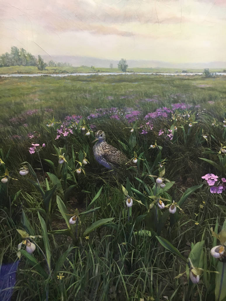 Milwaukee Public Museum - Tribute to Survival - Bird Species ID?