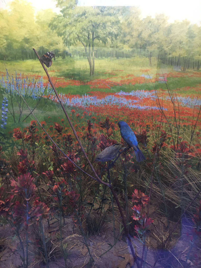 Milwaukee Public Museum - Tribute to Survival - Bluebird Diorama