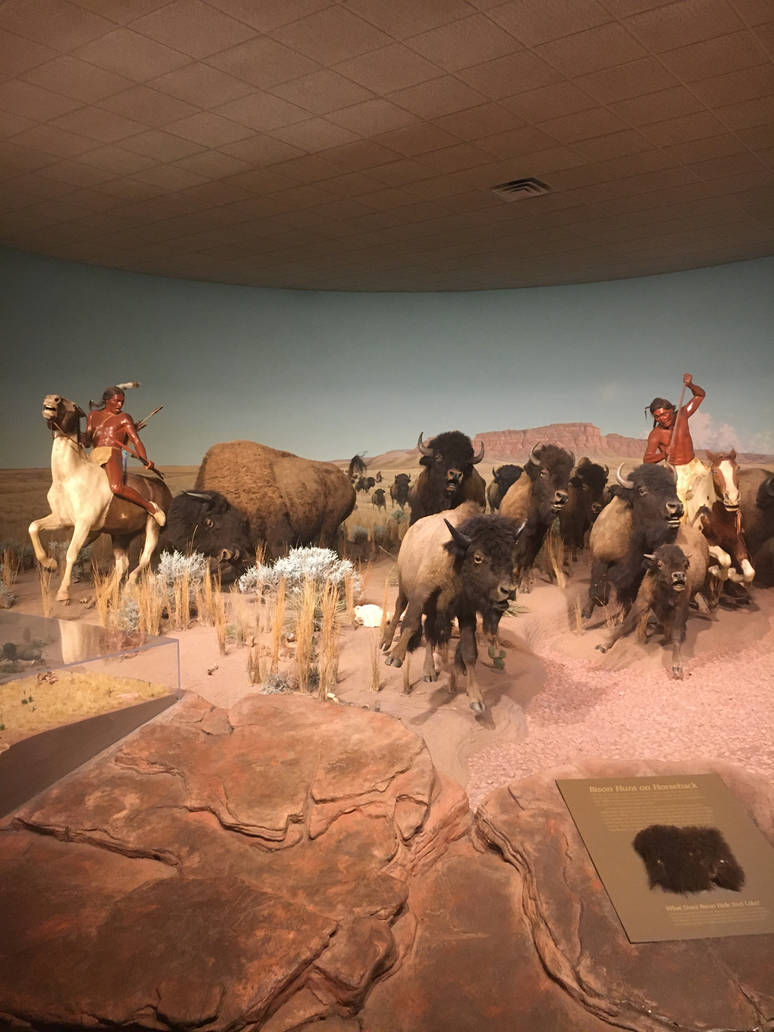 Milwaukee Public Museum - Tribute to Survival - Buffalo Hunt Diorama