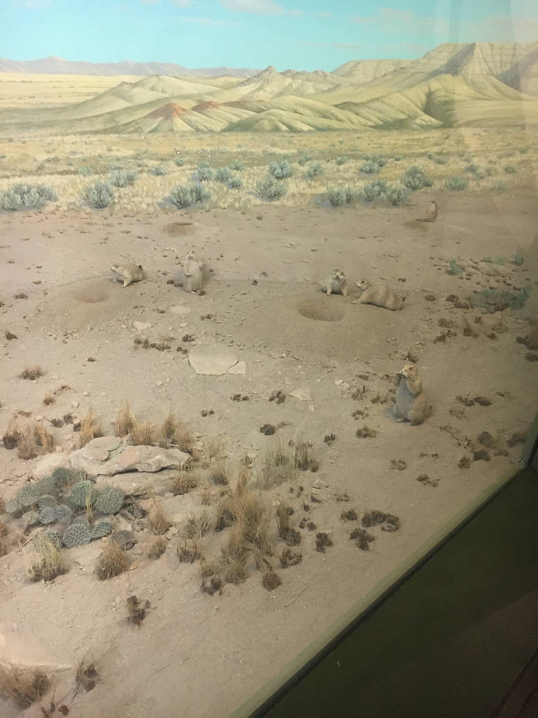 Milwaukee Public Museum - Tribute to Survival - Prairie Dogs in Pronghorn Diorama