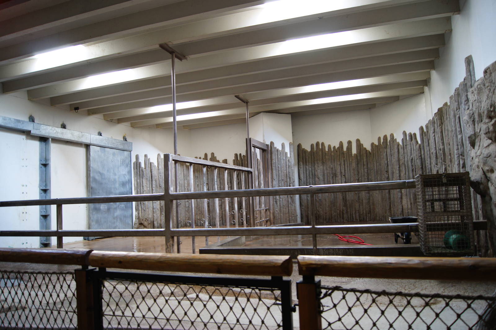 Mimi and Doly's indoor building