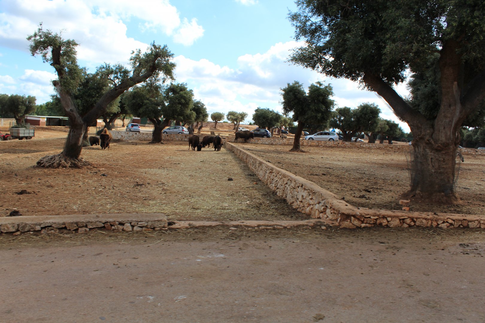 Min Reserve - Oct 2019