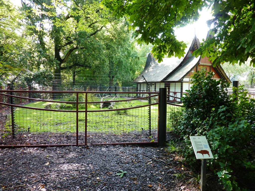 Minangkabause House Artis August 2010