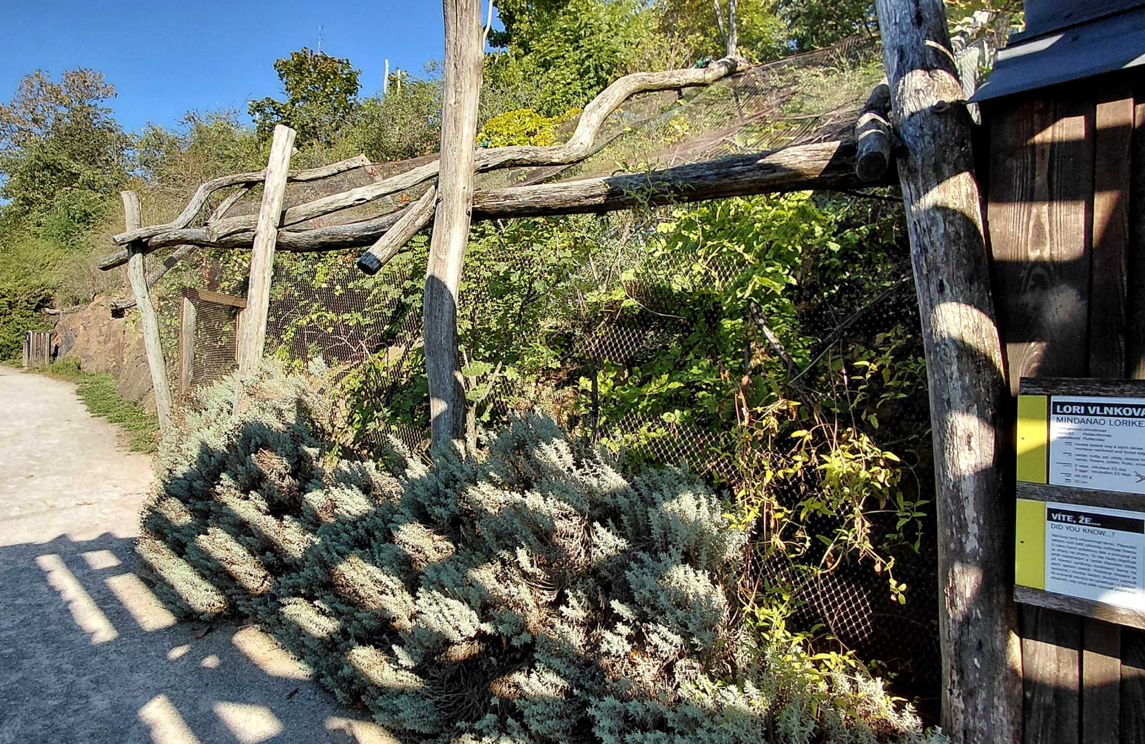 Mindanao lorikeet aviary