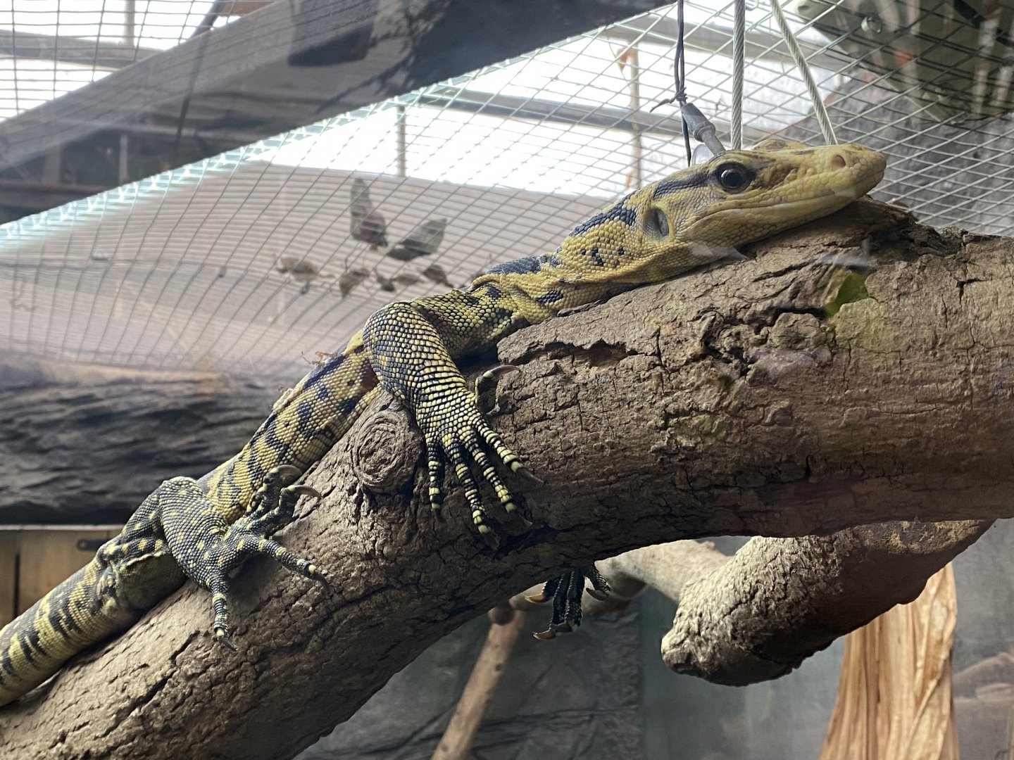 Mindanao water monitor 050924