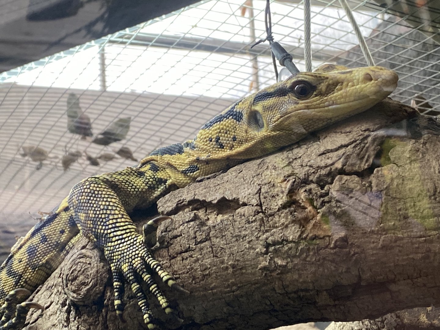 Mindanao water monitor 050924