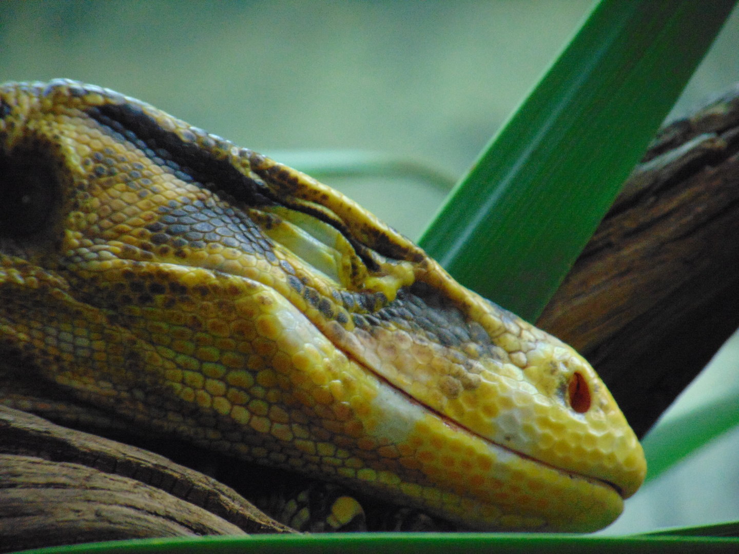 Mindanao Water Monitor