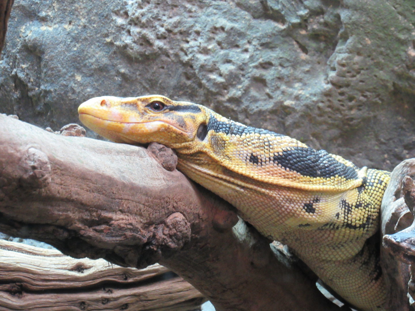 Mindanao Water Monitor