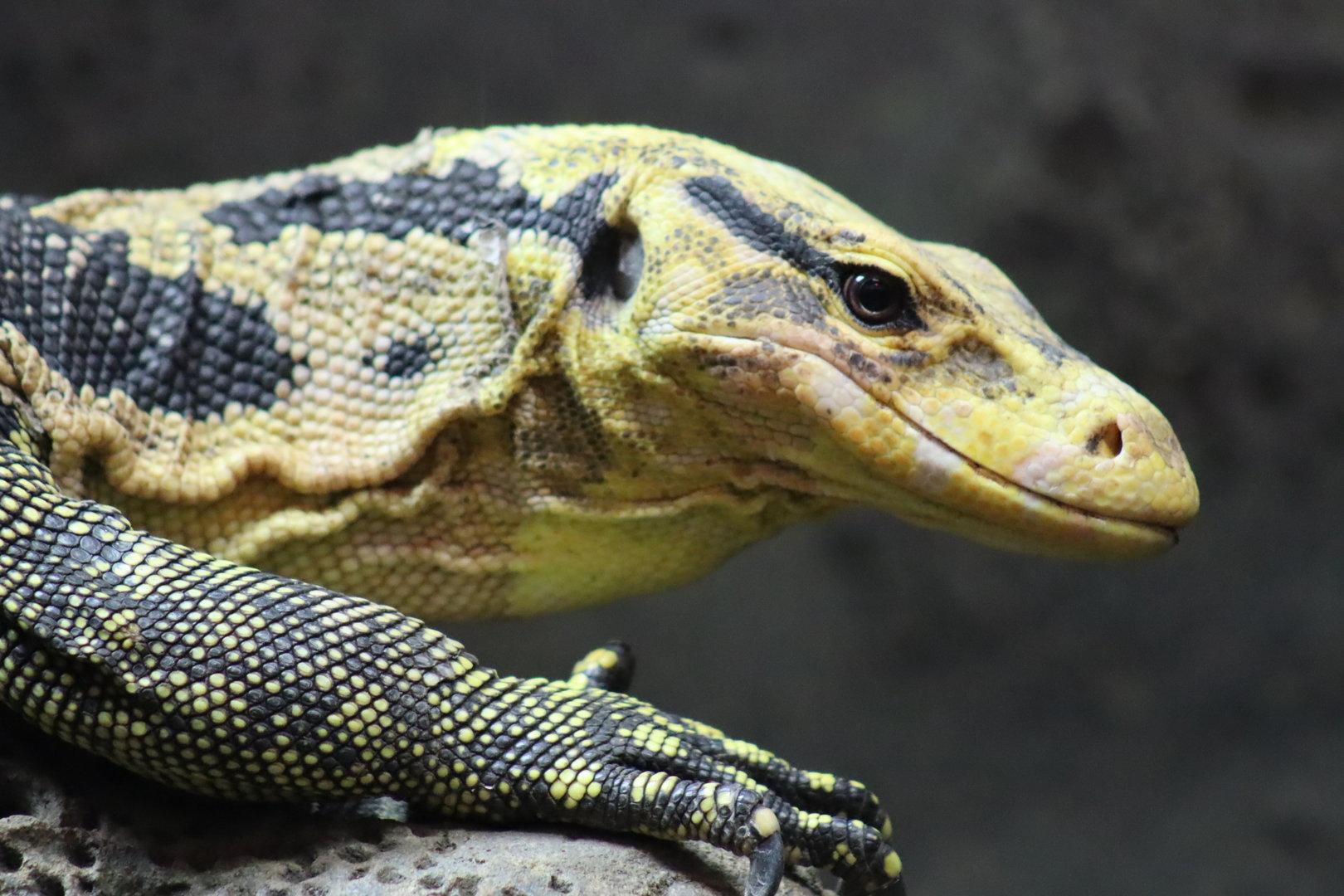 Mindanao Water Monitor