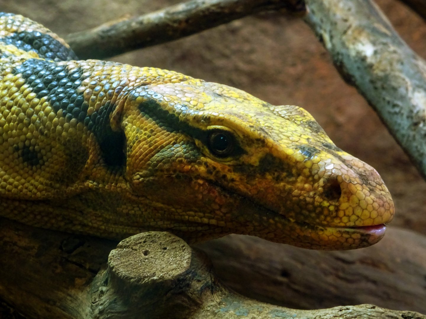 Mindanao Water Monitor