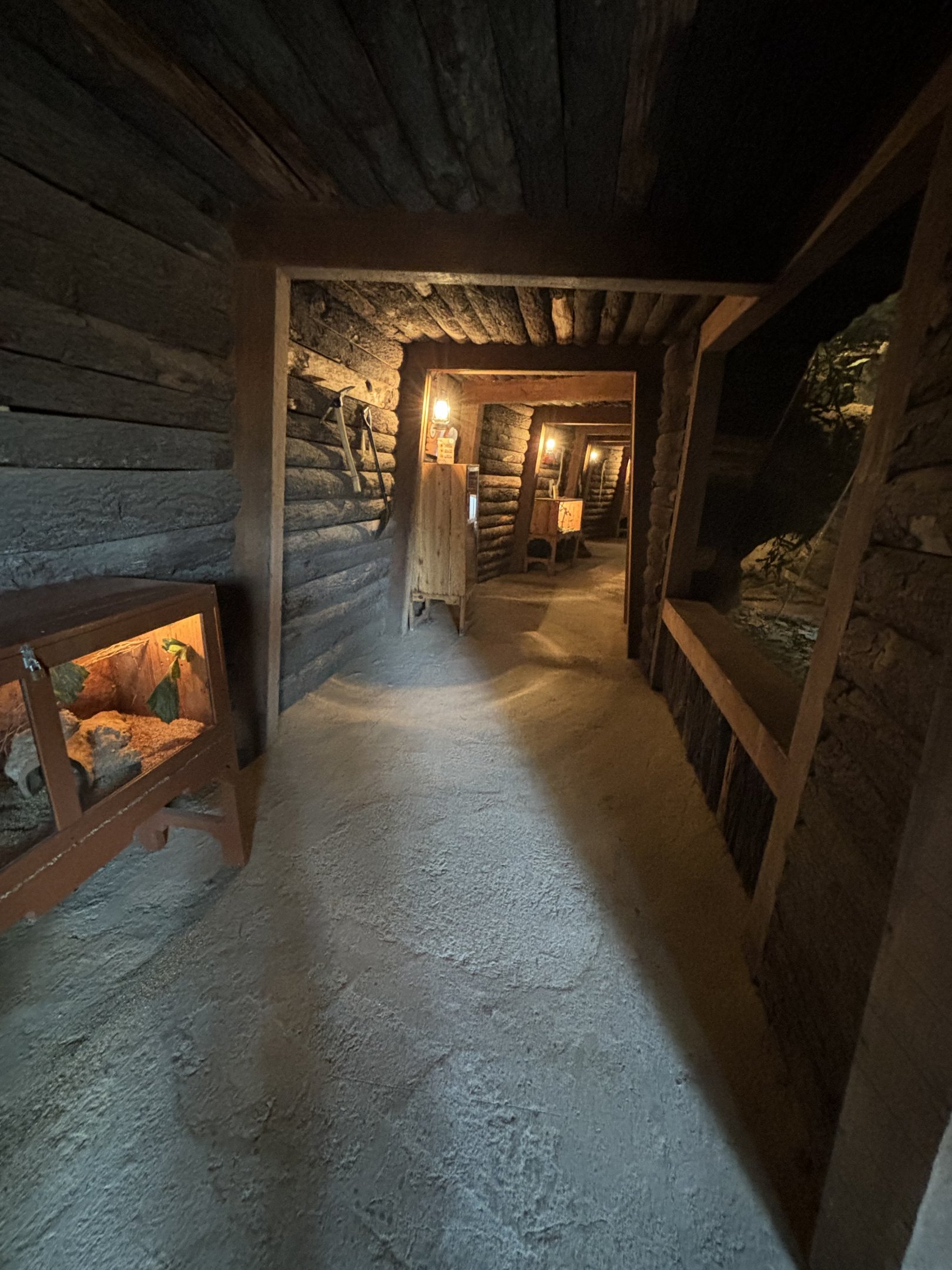 Mine Shaft Exhibits - Aussie Zone