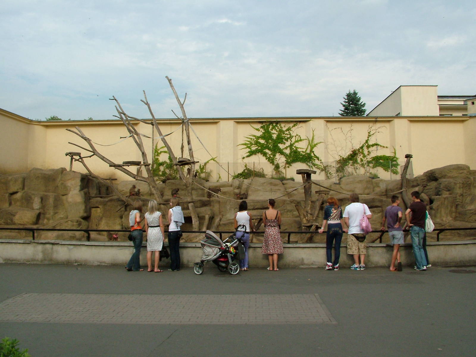 Mini Baboon Rock at Warsaw Zoo Sept 2008