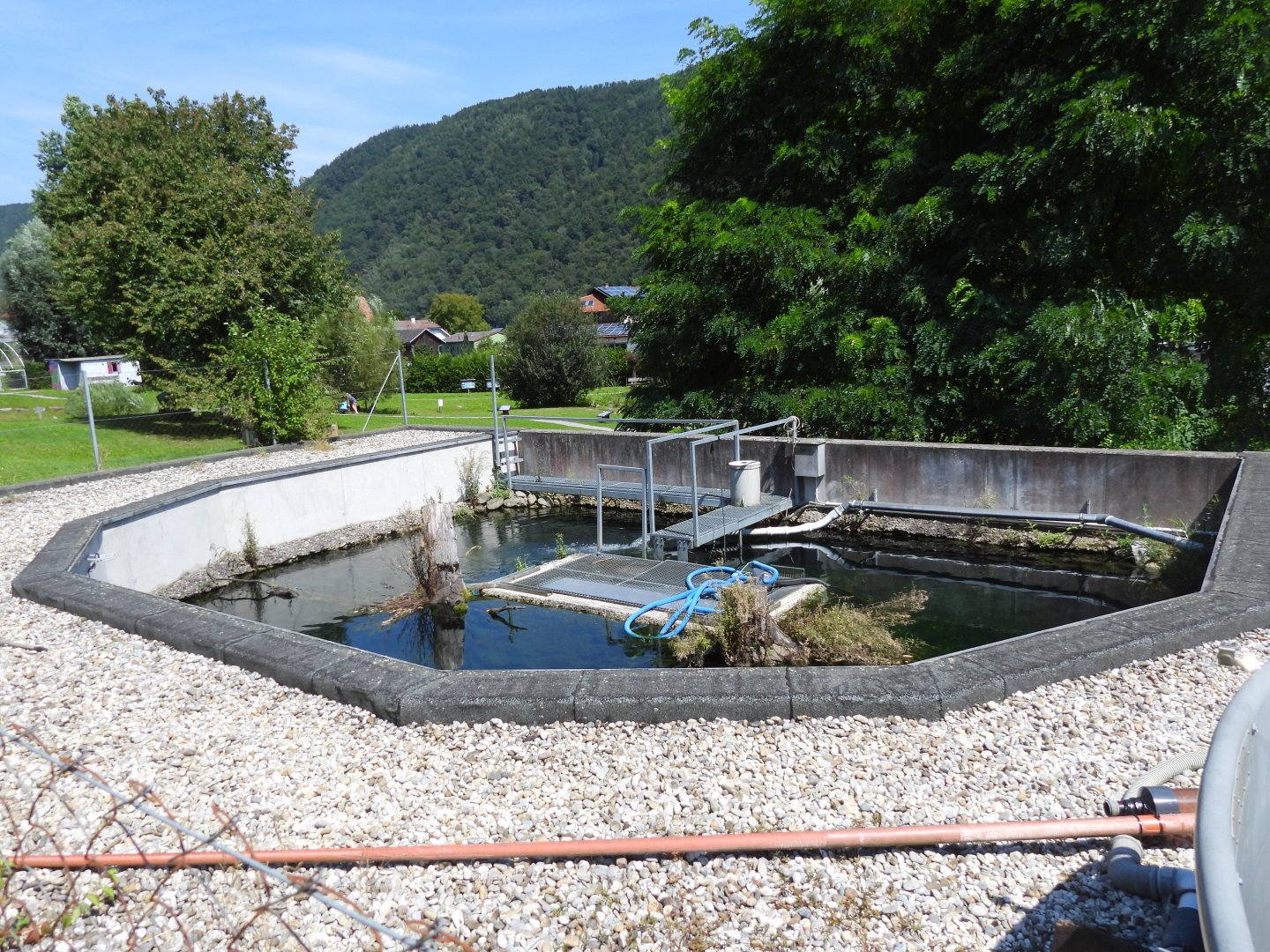 Mini Donau Engelhartszell - Main tank from above