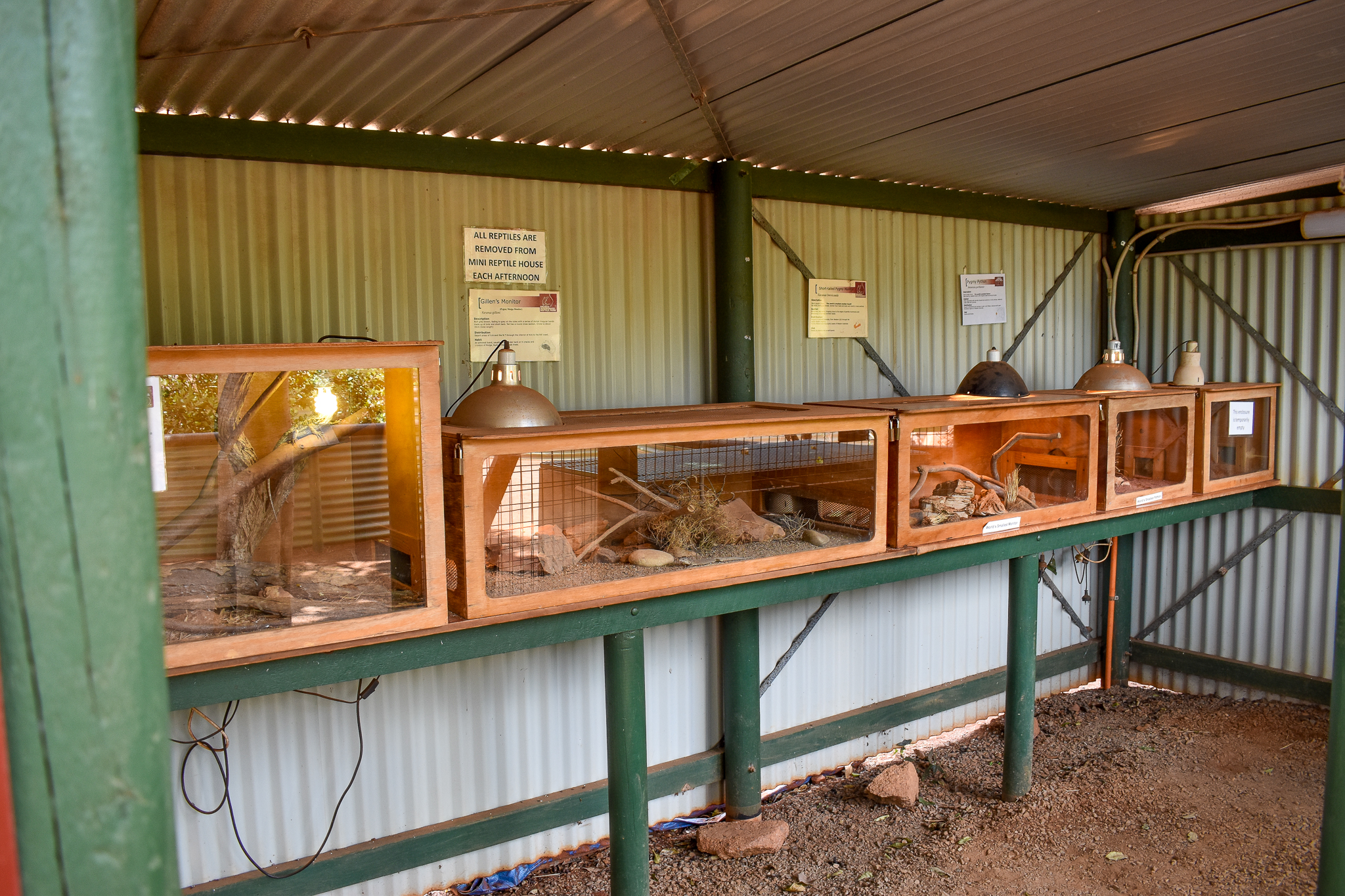 Mini Reptile House Tanks