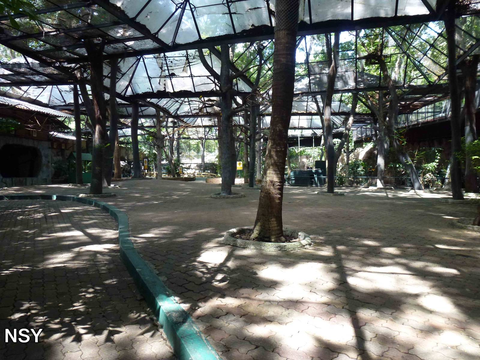 Mini world aviary, June 2013.