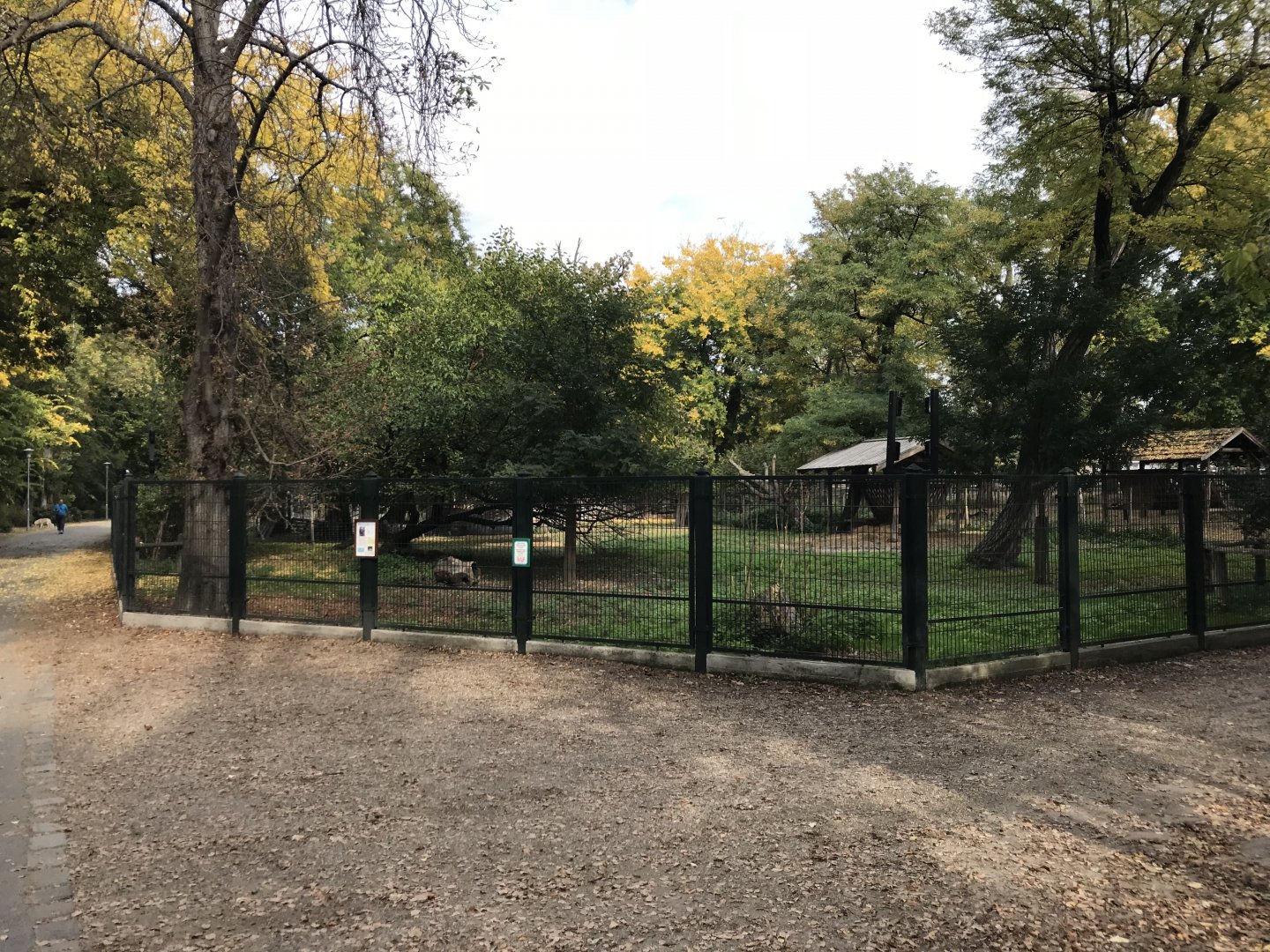 Mini Zoo, Margaret's Island - Fallow deer enclosure 181018