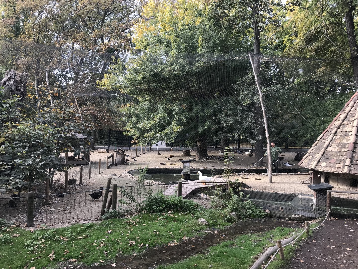 Mini Zoo, Margaret's Island - Waterfowl aviary 181018