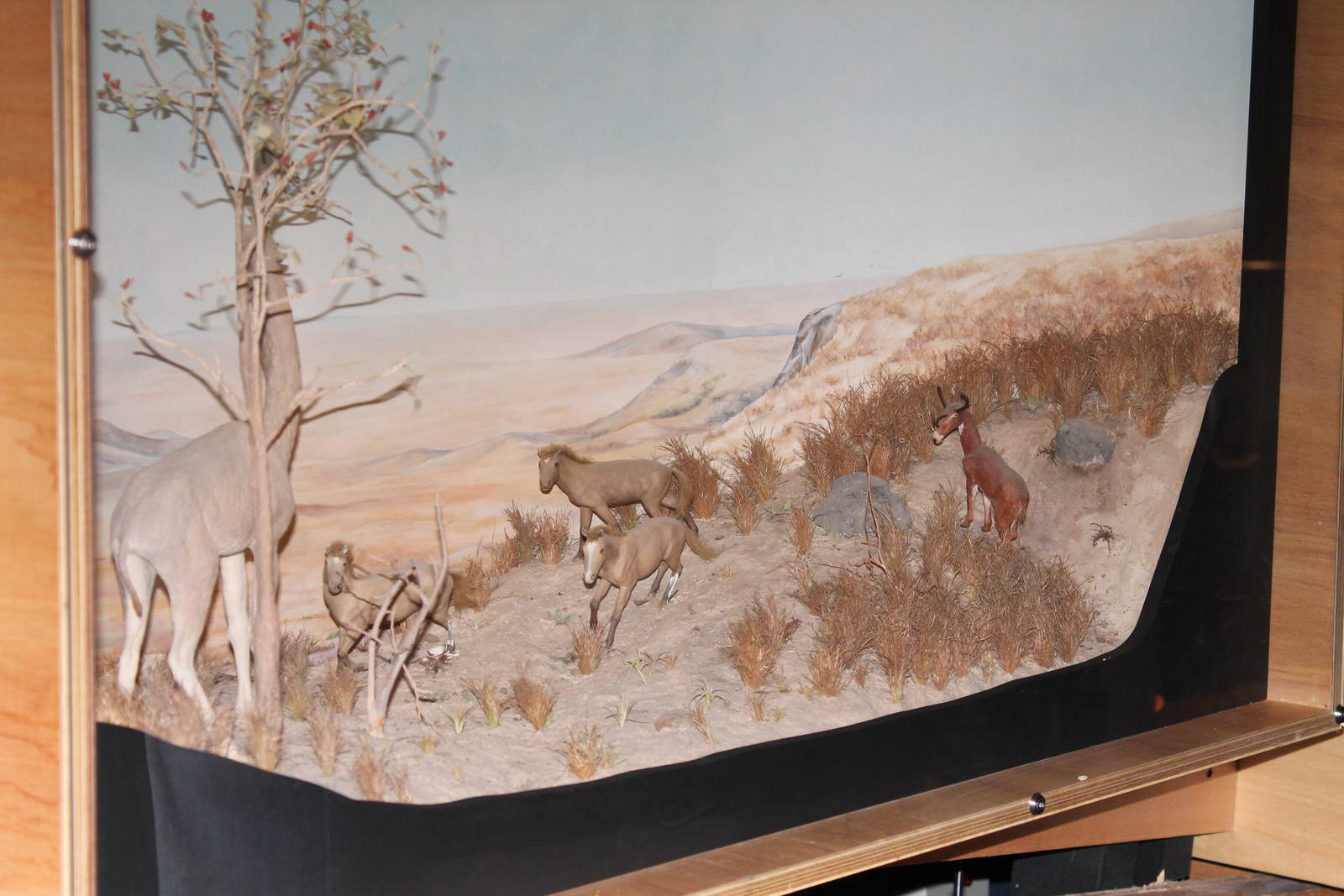 miniature diorama of extinct American mammals
