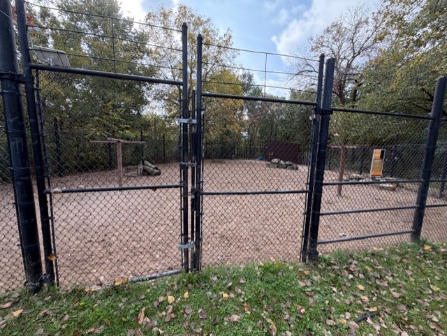 miniature donkey and ostrich exhibit