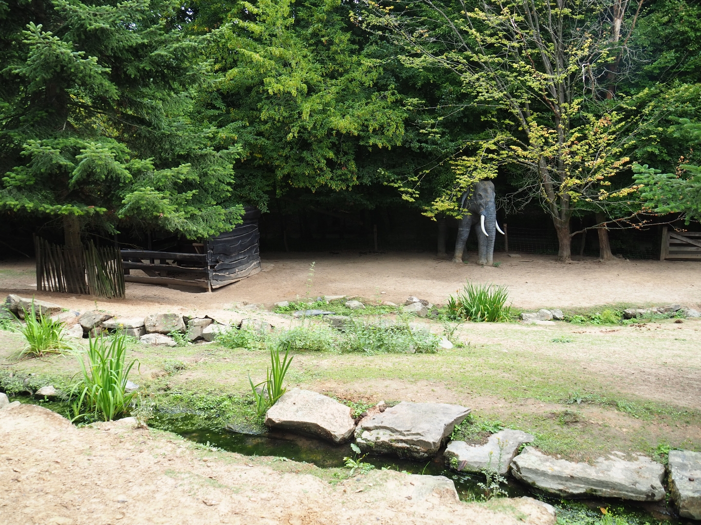 Miniature donkey and pony paddock - With ratty shack and fake elephant (Aug 28th, 2018)