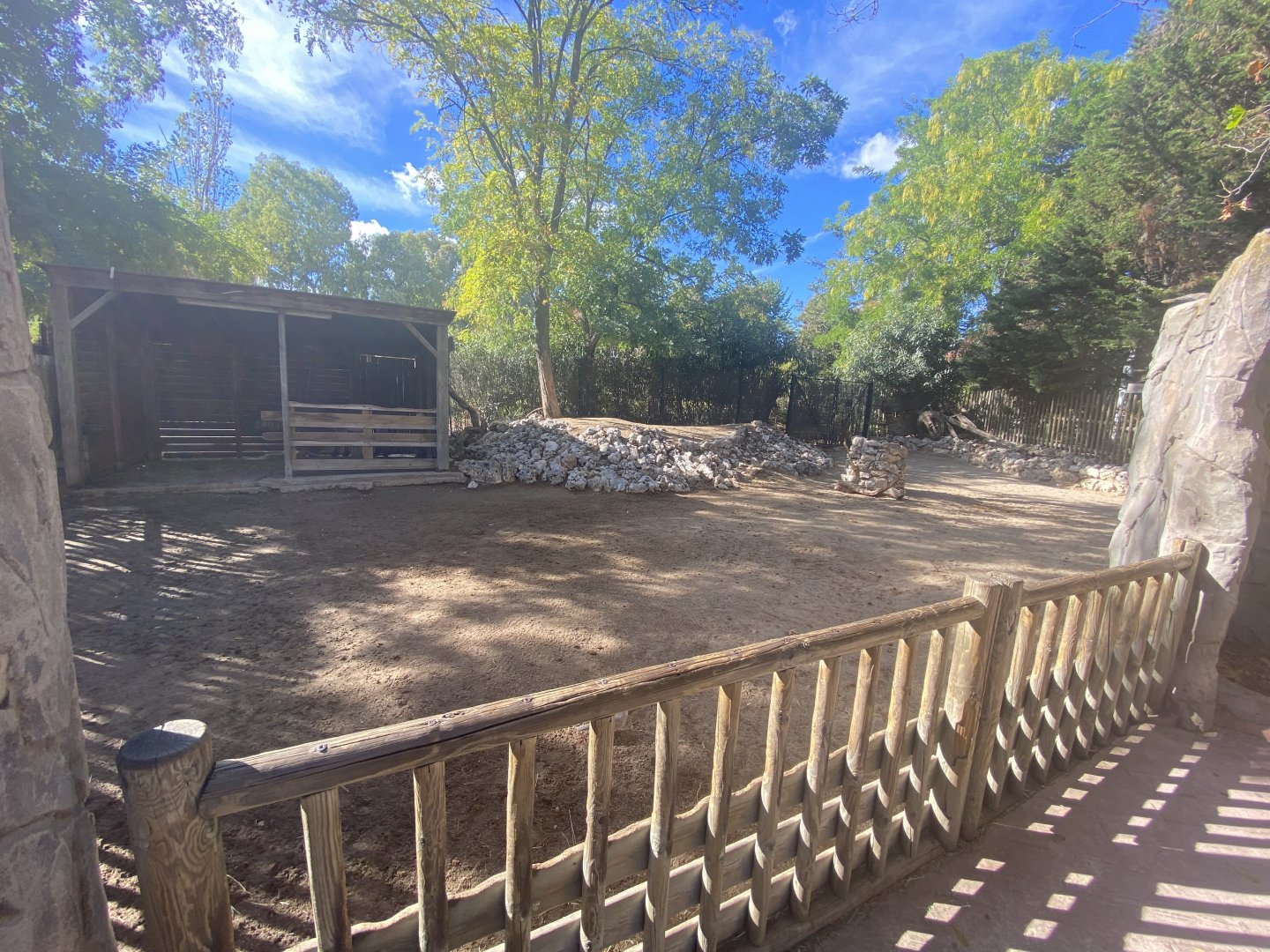 Miniature donkey enclosure