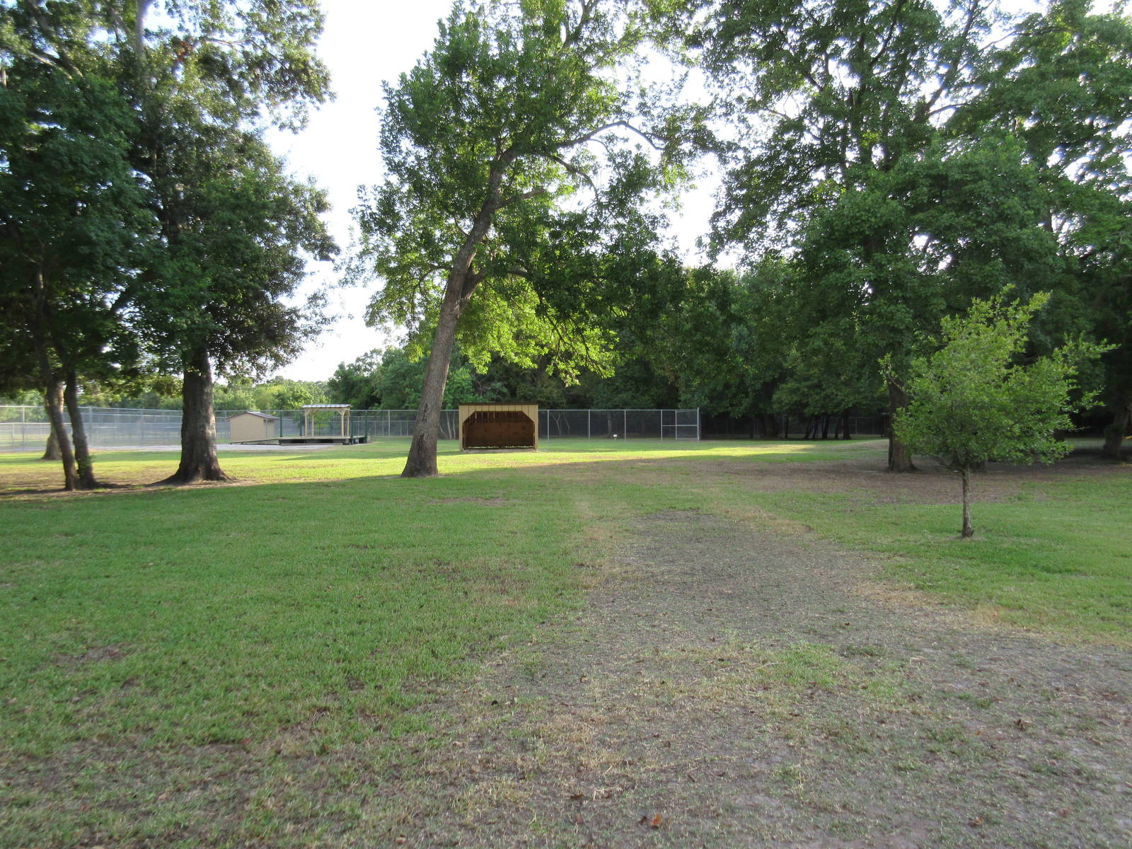 Miniature Horse Exhibit