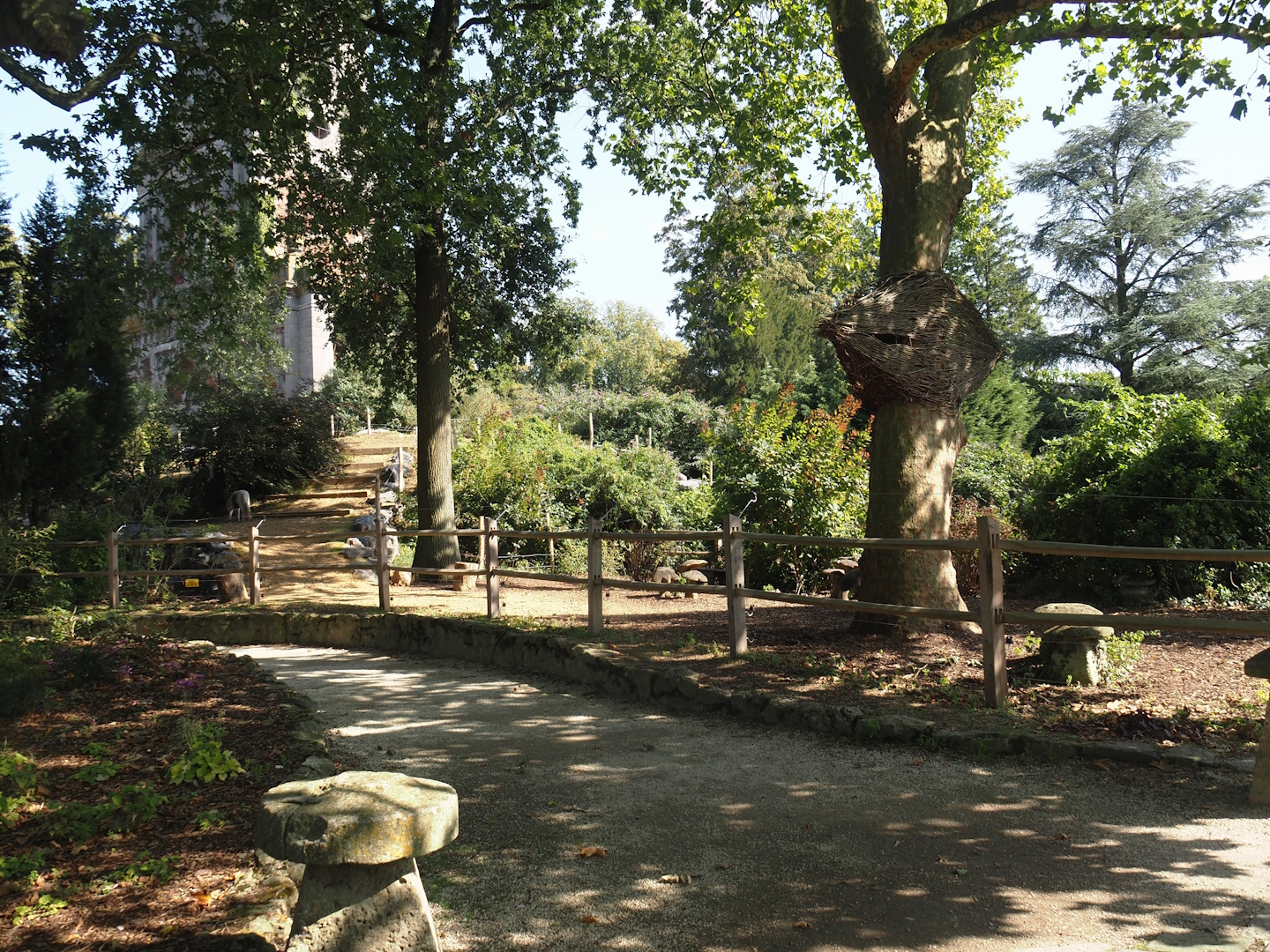 Miniature horse paddock near old abbey tower, 2024-09-17