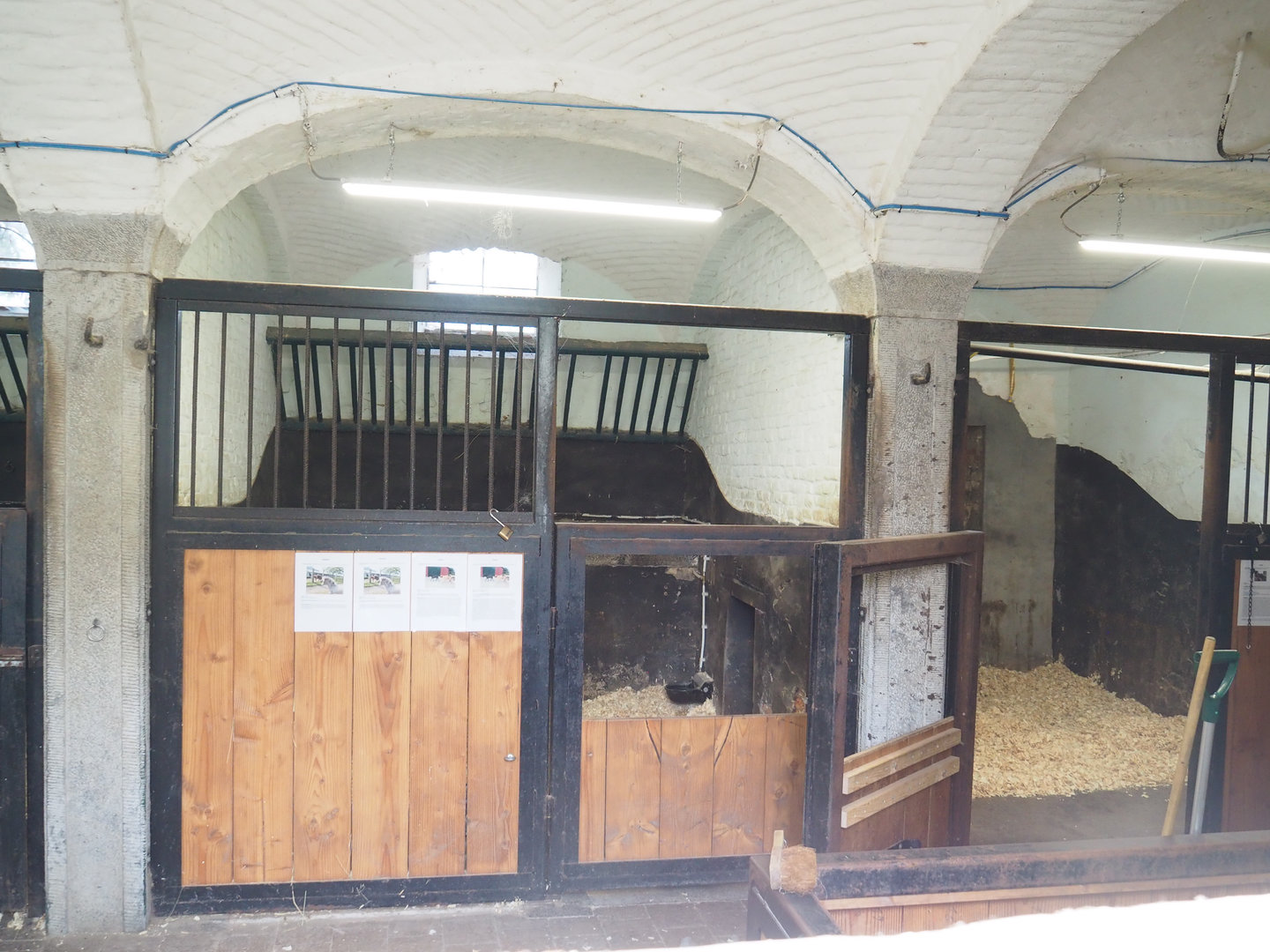 Miniature horse stables in old farm building, 2022-09-15