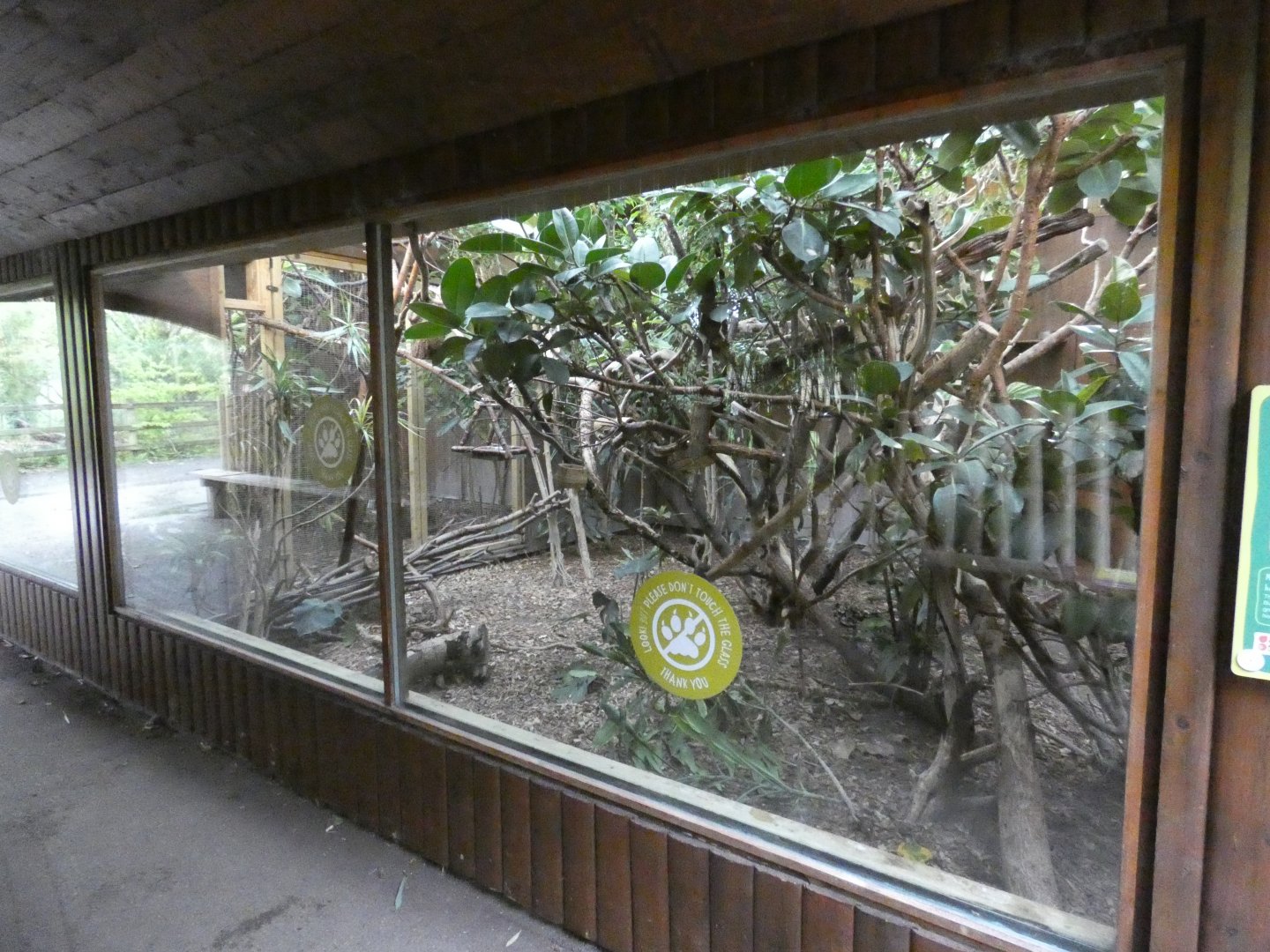 Miniature Monkeys indoor exhibit