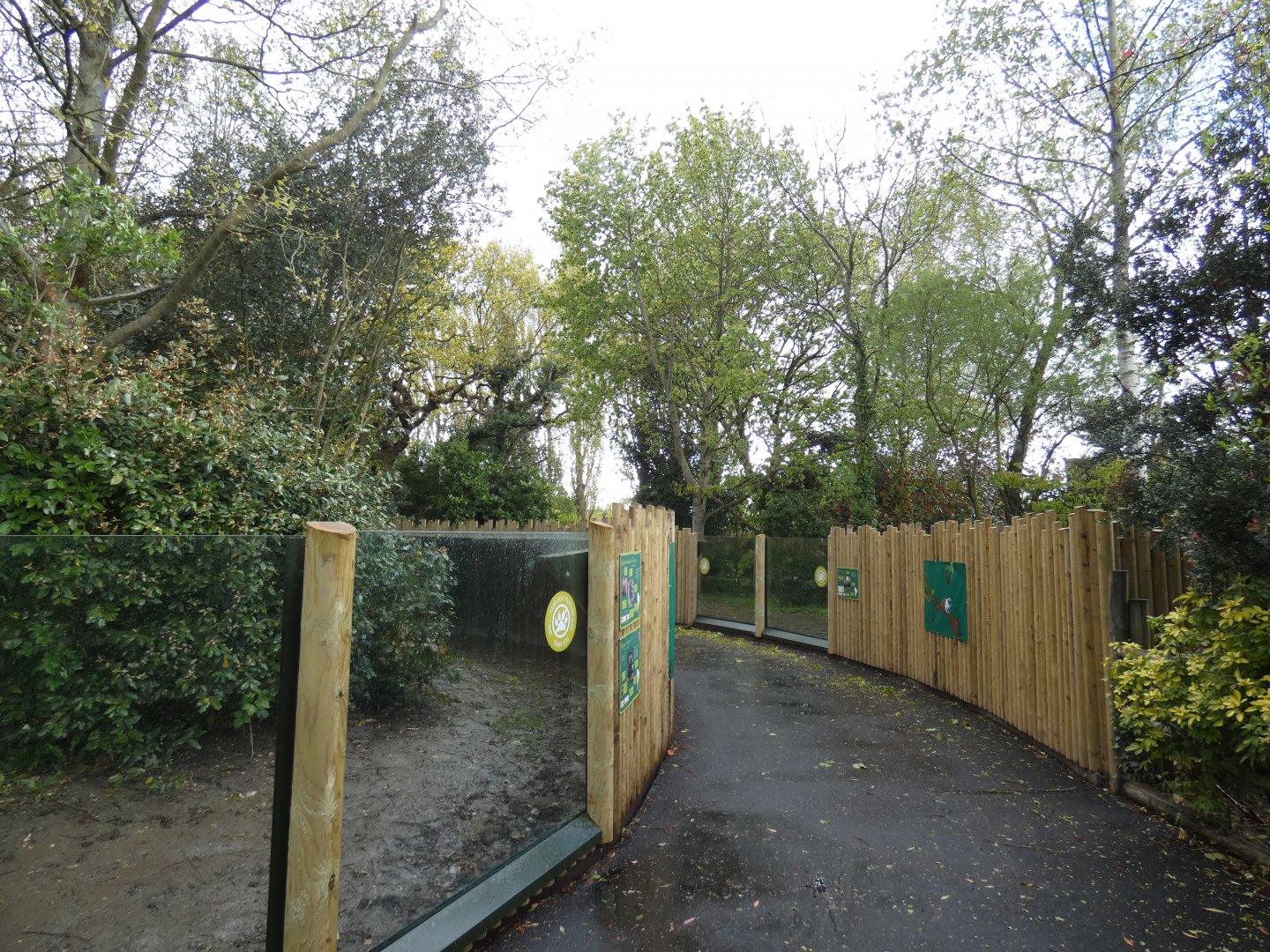 Miniature Monkeys viewing area