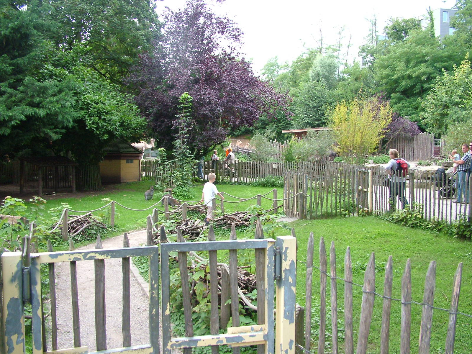 Miniature Wallaby Walk-through at Landau Zoo, 04/09/10