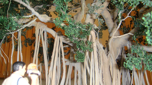 miniature zoological park