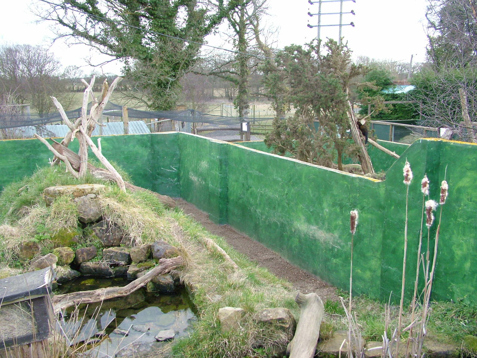 Mink and Polecat exhibits at the British Wildlife Centre 14/03/10