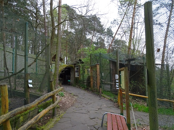 Mink, badger and squirrel enclosures  (04/23)