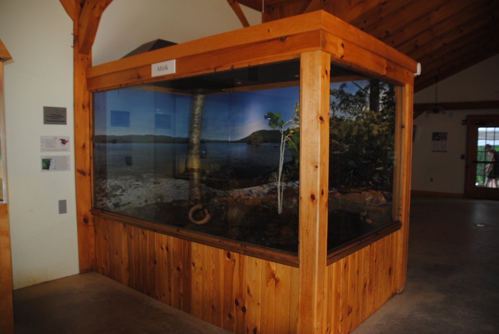 Mink exhibit (Water Matters pavilion)
