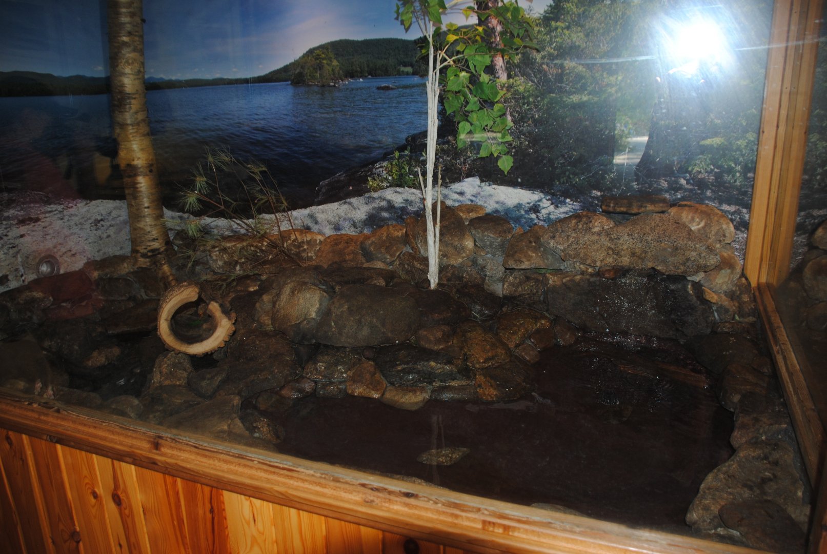 Mink exhibit (Water Matters pavilion)